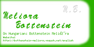 meliora bottenstein business card